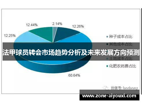 法甲球员转会市场趋势分析及未来发展方向预测