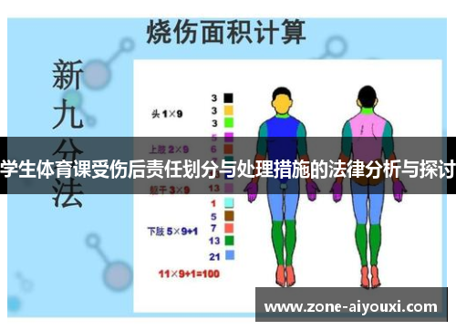 学生体育课受伤后责任划分与处理措施的法律分析与探讨