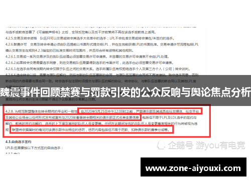 魏震事件回顾禁赛与罚款引发的公众反响与舆论焦点分析