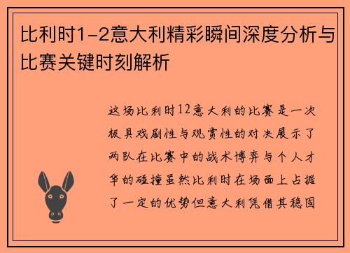 比利时1-2意大利精彩瞬间深度分析与比赛关键时刻解析
