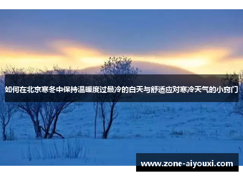 如何在北京寒冬中保持温暖度过最冷的白天与舒适应对寒冷天气的小窍门